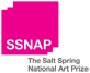 Salt Spring National Art Prize
